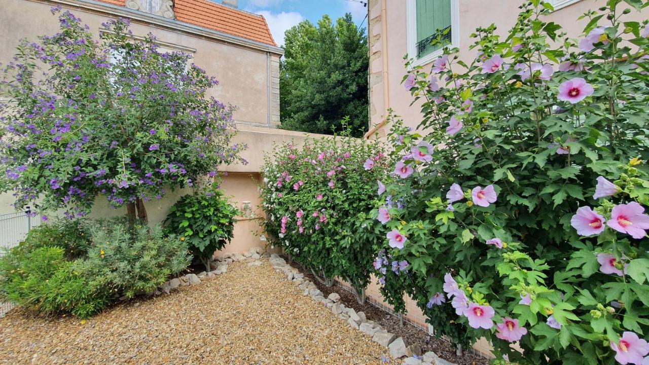 Gites "Tout Au Sud De La France" Pomerols Exterior photo